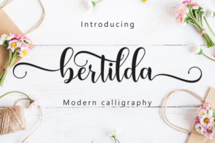 Bertilda Script: A Typeface That Elevates Your Editorial Design