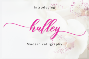 Halley Script: A Romantic Handwritten Typeface for Editorial Design