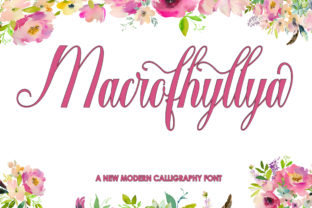Macrofhyllya Script: A Modern Typeface for Editorial Elegance