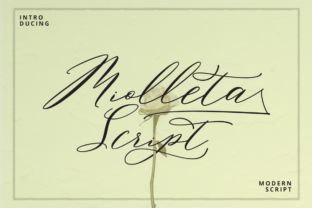 Miolleta Script: A Dynamic Typeface for Stronger Campaigns