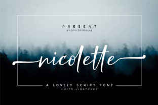 Nicolette Script: A Designer’s Honest Take